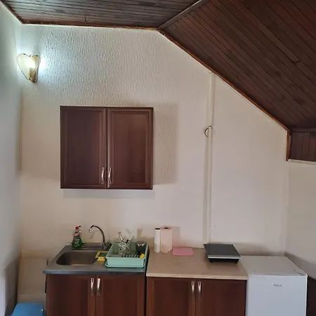 Prenociste Zivkovic Apartament Pirot