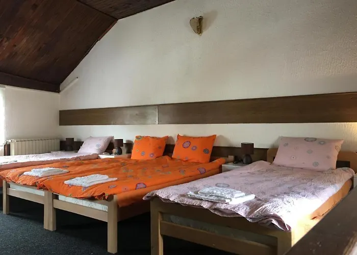 Prenociste Zivkovic 公寓 皮罗特