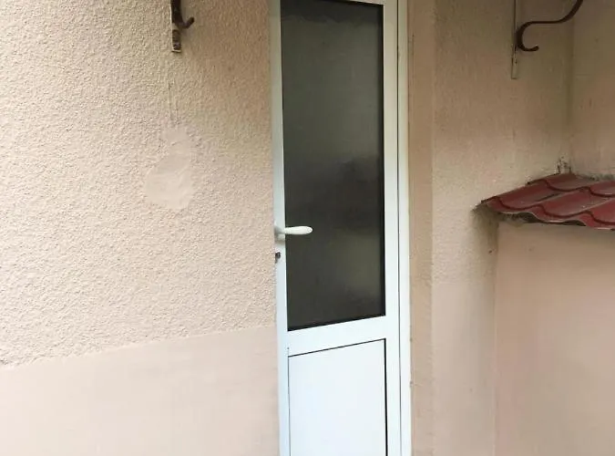 公寓 Prenociste Zivkovic 皮罗特