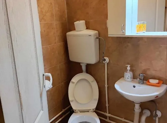 Prenociste Zivkovic 公寓 皮罗特